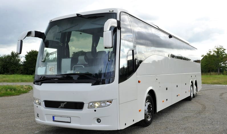 Germany: Buses agency in Rhineland-Palatinate in Rhineland-Palatinate and Germany